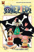 One Piece 17
